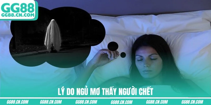 Lý do ngủ mơ thấy người chết Lý do ngủ mơ thấy người chết